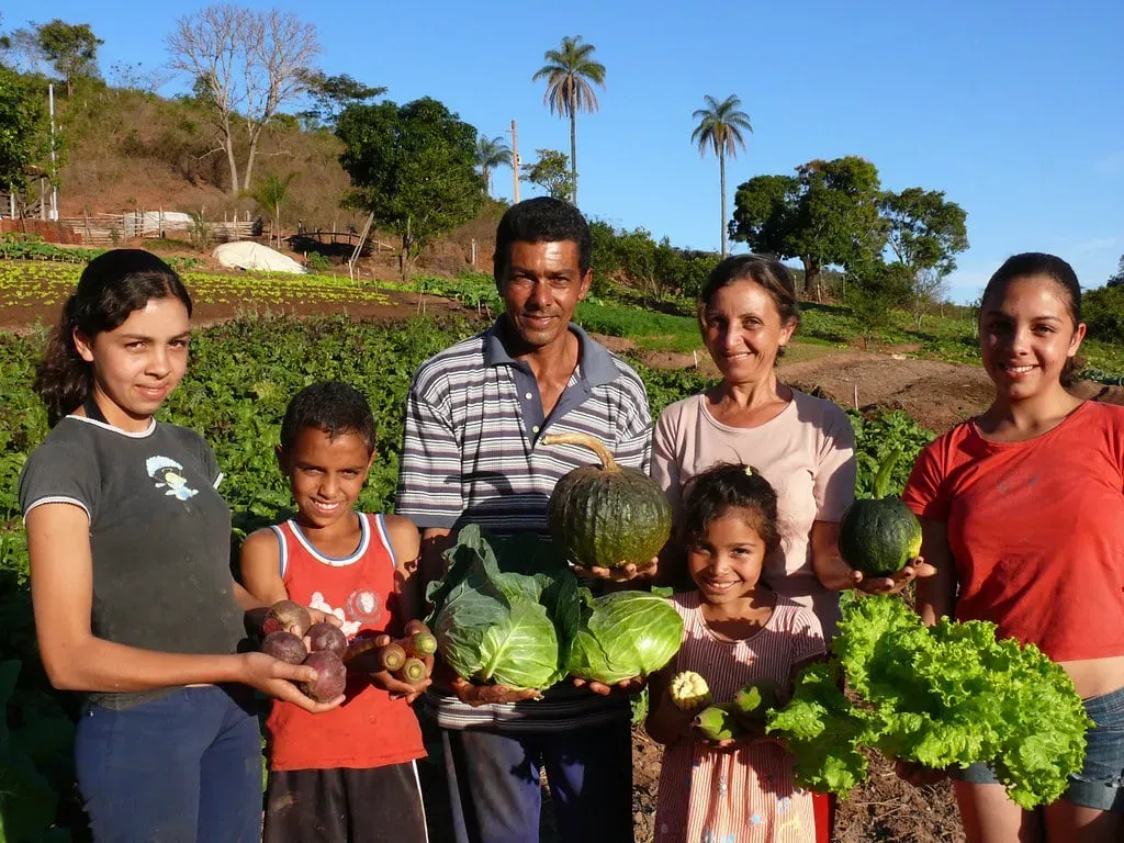 Recrutare personal agricultura din Asia